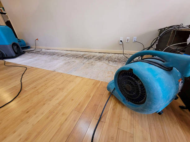 Professional Water Damage Repair technician working in Nebraska, NE